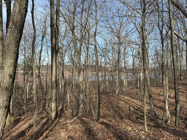 $999,000 | 5950 South Lake George Road, Dryden, MI 48428