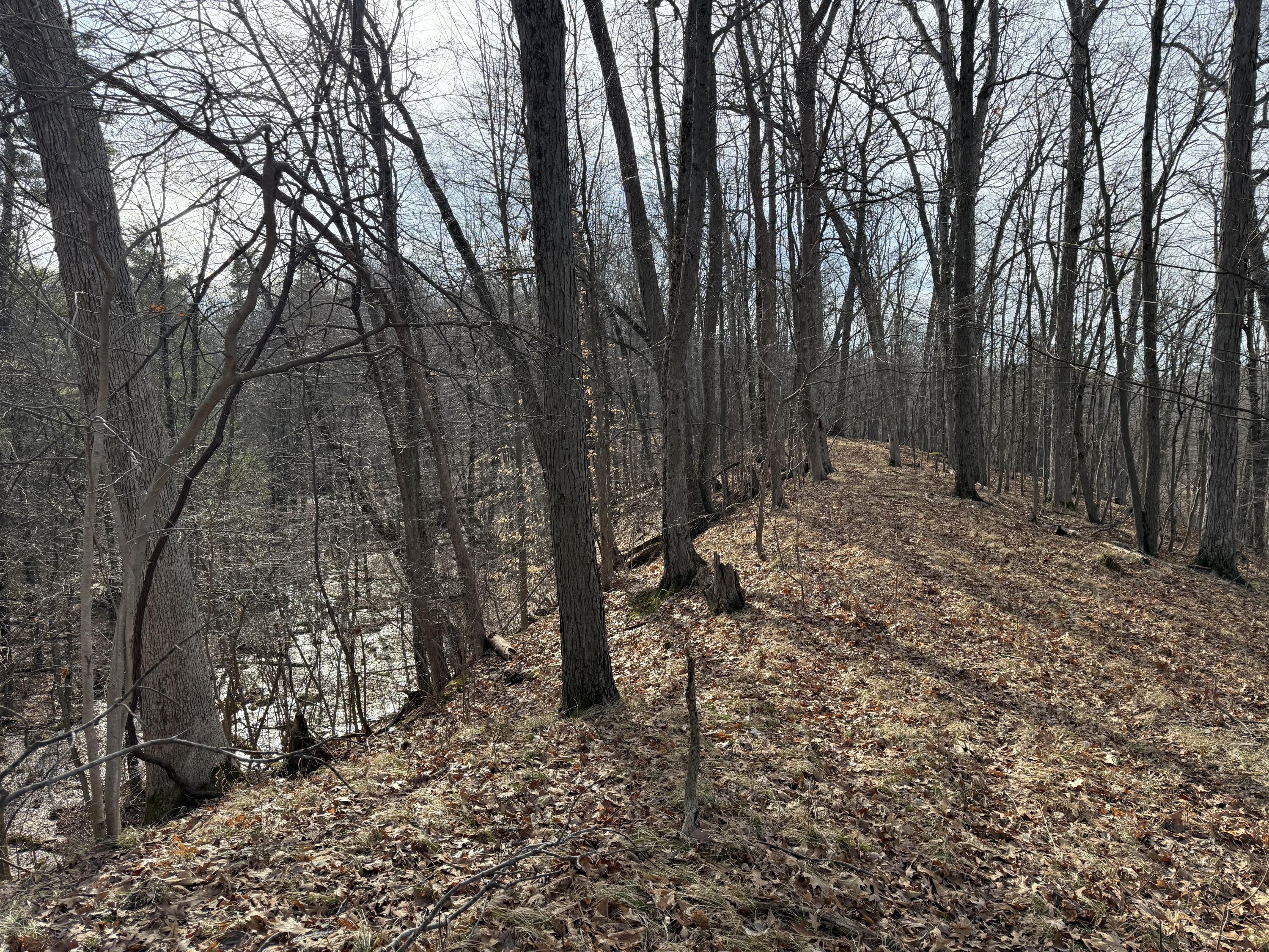 5950 South Lake George Road Dryden, MI 48428 - Photo 16 of 16 IMG_0838 (1)