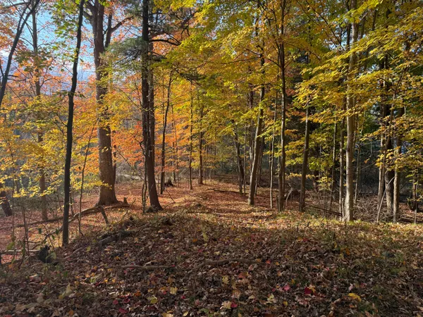 $999,000 | 5950 South Lake George Road, Dryden, MI 48428