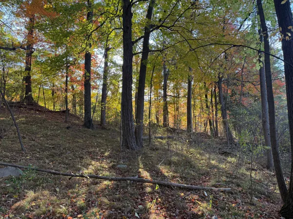 $999,000 | 5950 South Lake George Road, Dryden, MI 48428