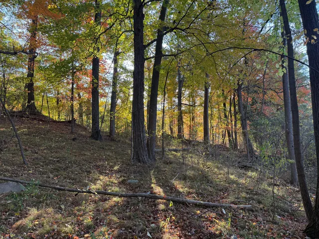 $999,000 | 5950 South Lake George Road, Dryden, MI 48428