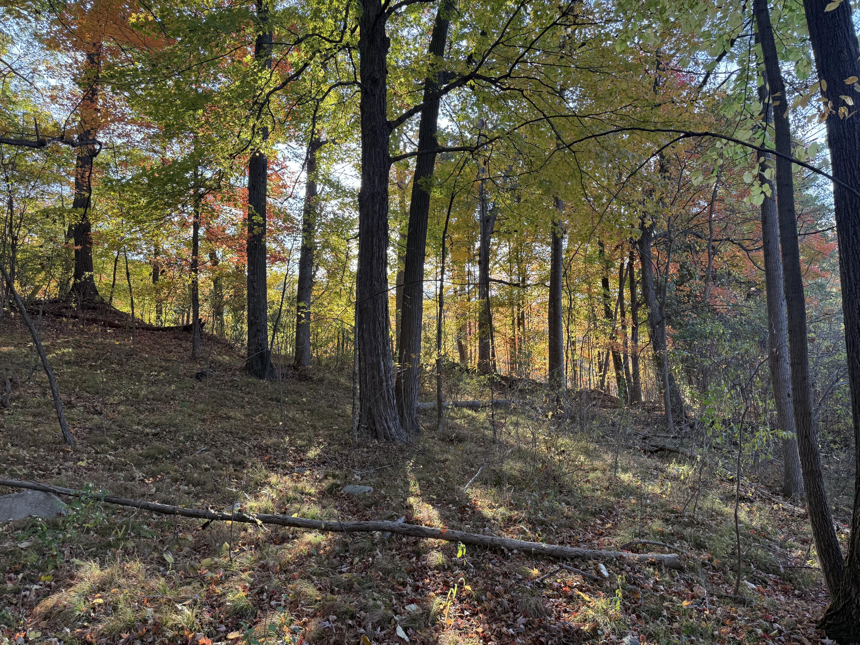 5950 South Lake George Road Dryden, MI 48428 - Photo 3 of 16 7