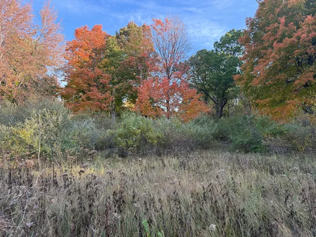 $999,000 | 5950 South Lake George Road, Dryden, MI 48428