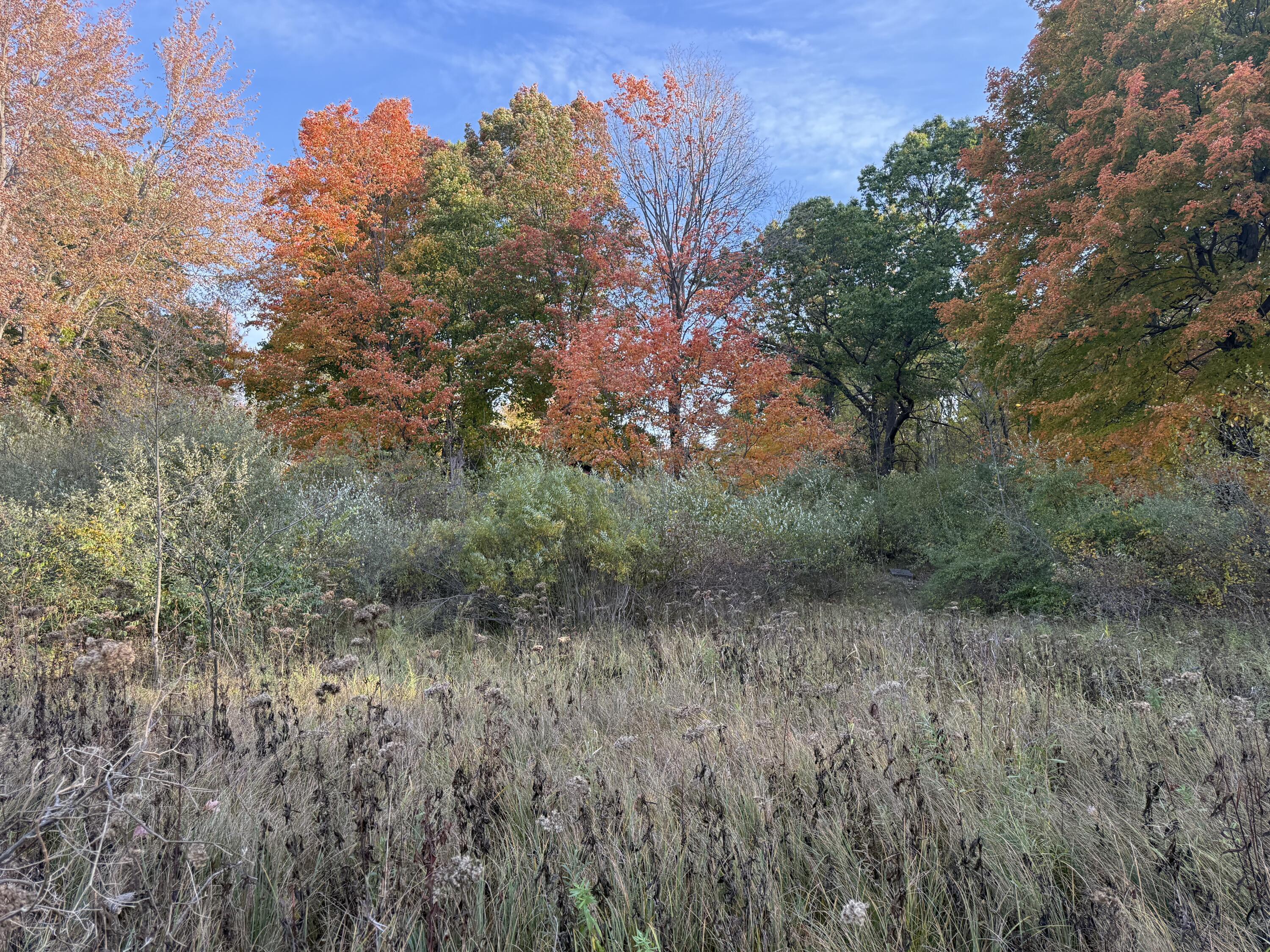 5950 South Lake George Road Dryden, MI 48428 - Photo 5 of 16 6