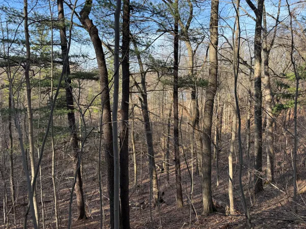 $999,000 | 5950 South Lake George Road, Dryden, MI 48428