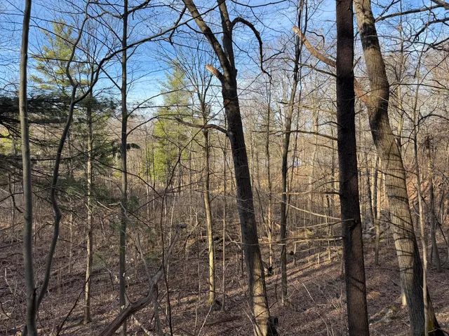 $999,000 | 5950 South Lake George Road, Dryden, MI 48428