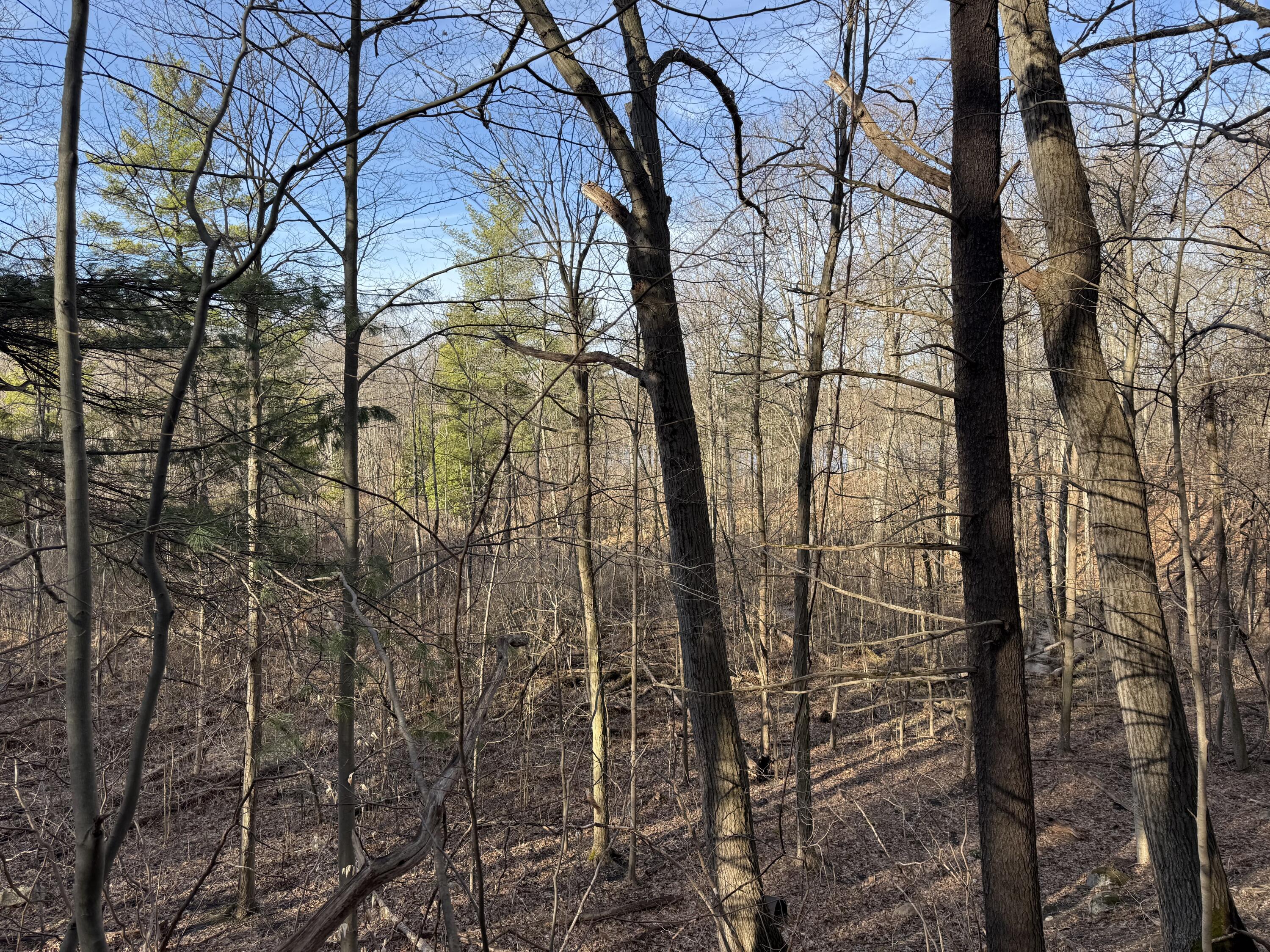 5950 South Lake George Road Dryden, MI 48428 - Photo 7 of 16 IMG_0778 (1)