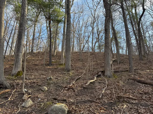 $999,000 | 5950 South Lake George Road, Dryden, MI 48428