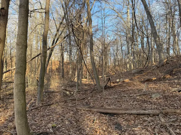 $999,000 | 5950 South Lake George Road, Dryden, MI 48428