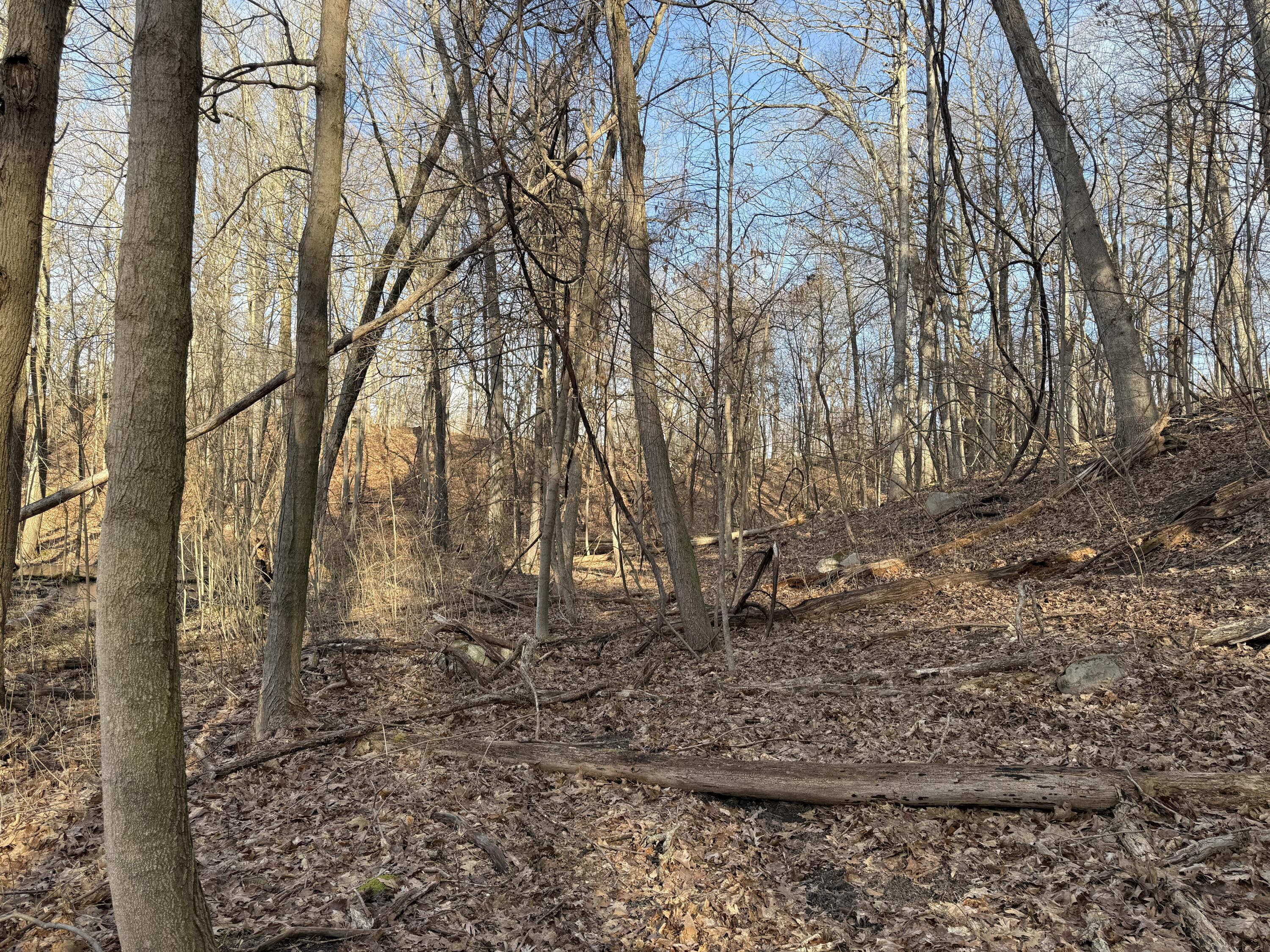 5950 South Lake George Road Dryden, MI 48428 - Photo 9 of 16 IMG_0782