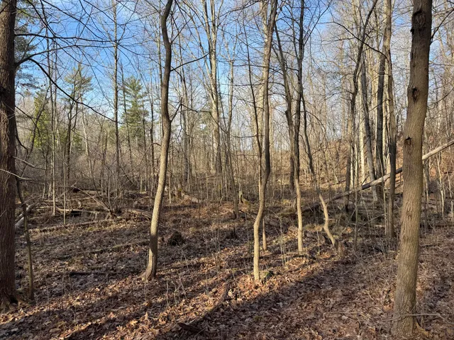 $999,000 | 5950 South Lake George Road, Dryden, MI 48428