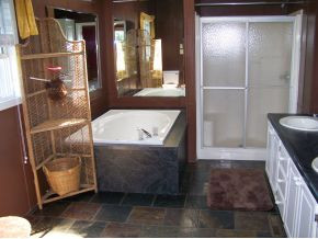 167 Lady Lane Fall Branch, TN 37656 - Photo 13 of 18 Master Bath