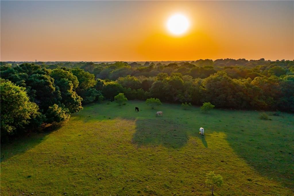 1750 Country Road Georgetown, TX 78626 - Photo 1 of 1 Gallery Image 1