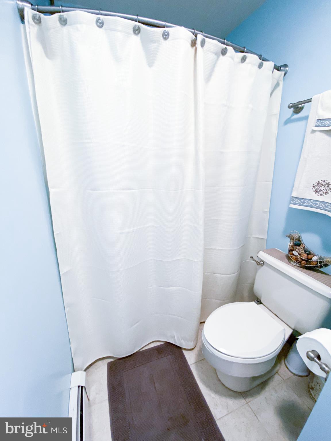 31094 Carioca Road Delmar, MD 21875 - Photo 33 of 77 Gallery Image 33