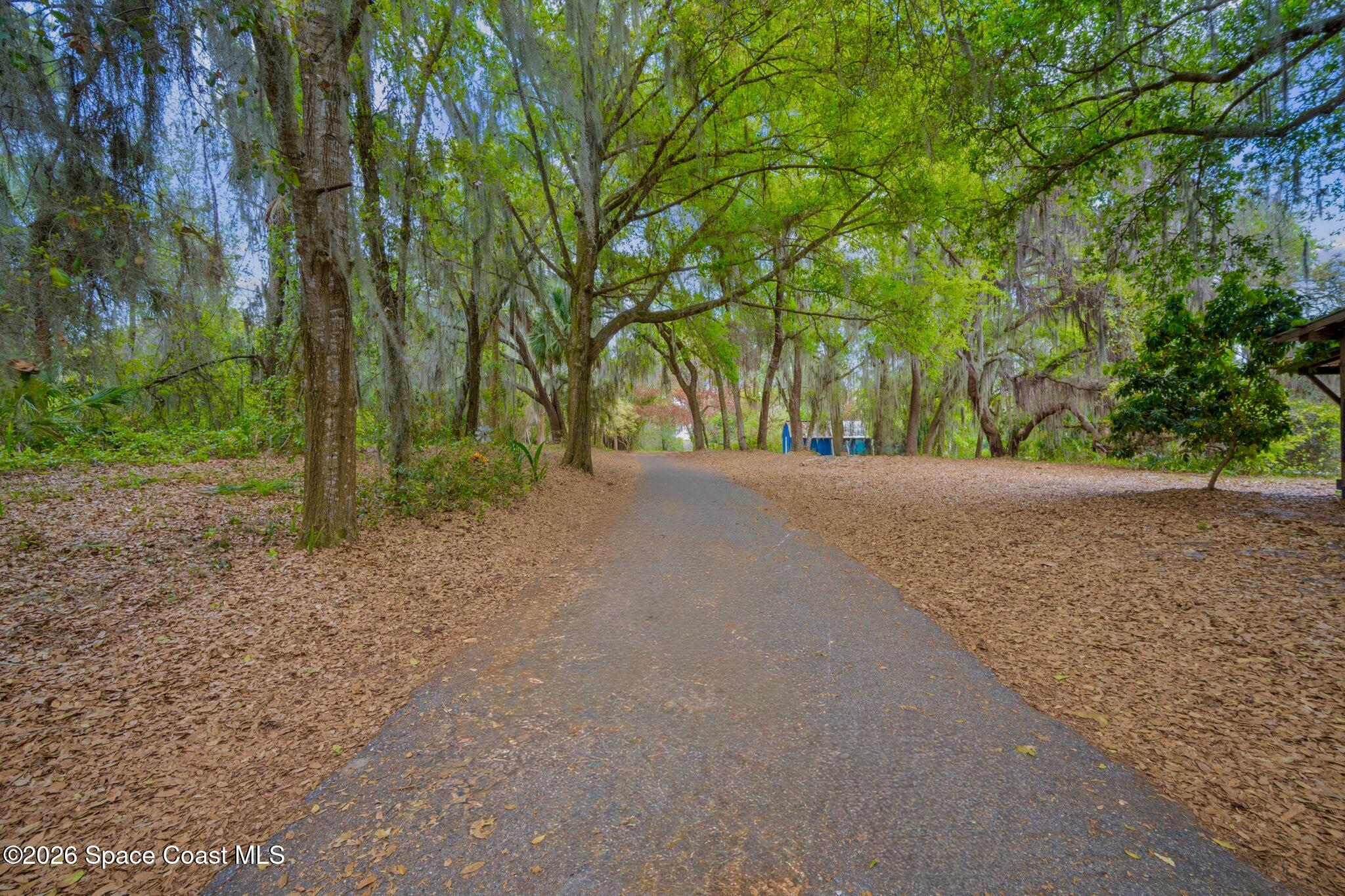 130 North Carpenter Road Titusville, FL 32796 - Photo 30 of 32 Long driveway