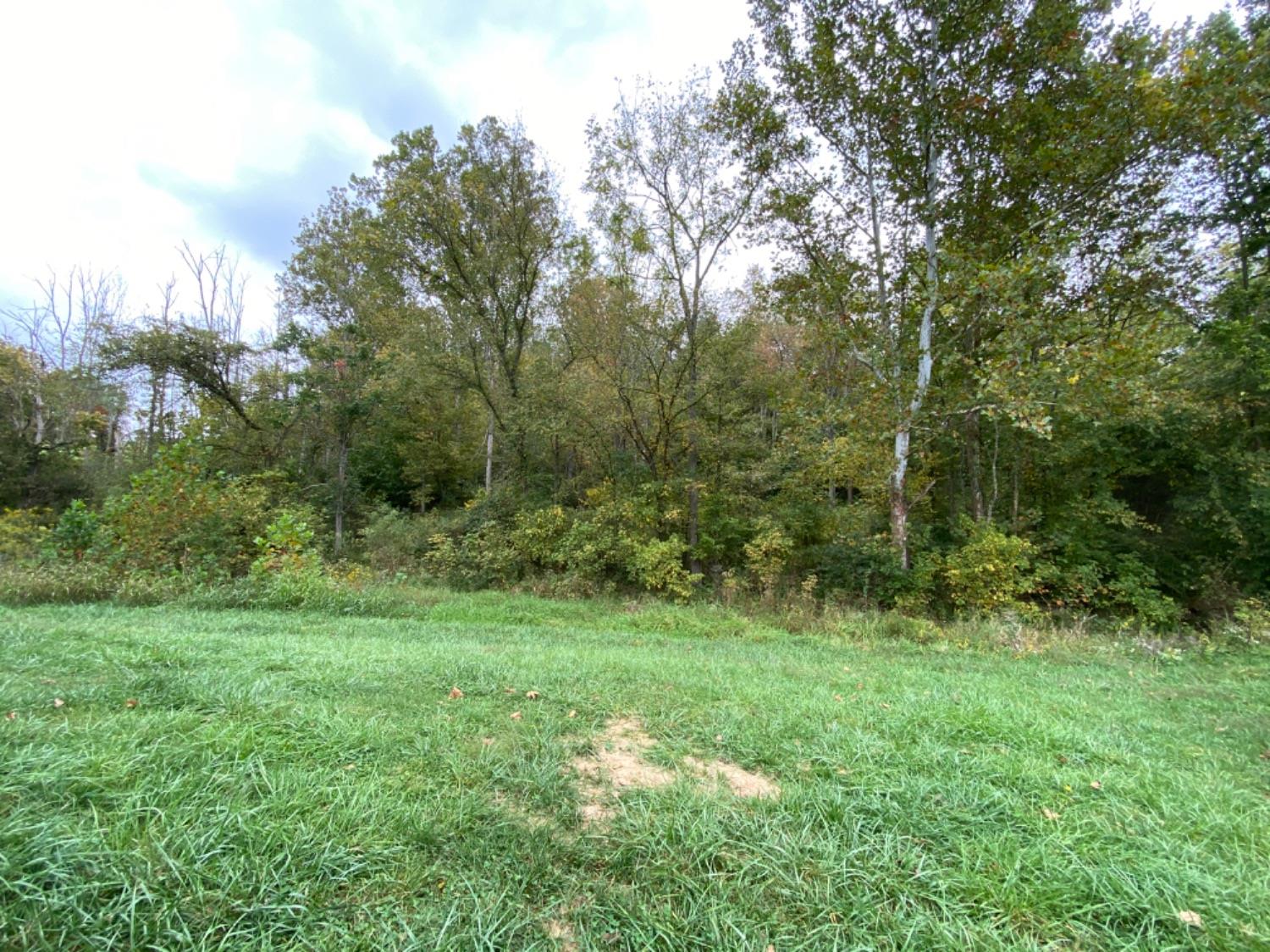 3822 Nelson Road Rising Sun, IN 47040 - Photo 44 of 56
