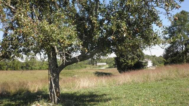 730 Bend Road Waco, KY 40385 - Photo 12 of 32 Photo 12