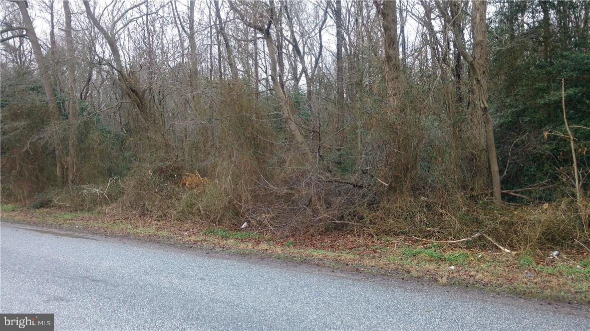Lot 1 Robin Hood Road Delmar, DE 19940 - Photo 1 of 2