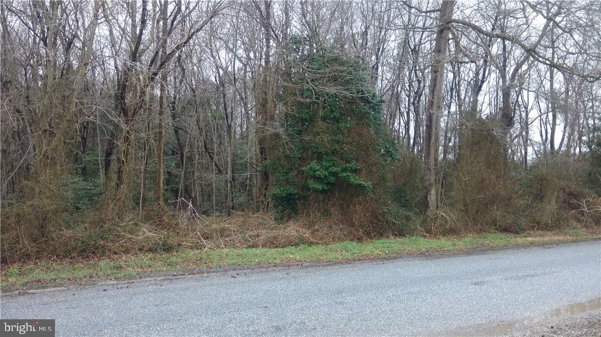 Lot 1 Robin Hood Road Delmar, DE 19940 - Photo 2 of 2