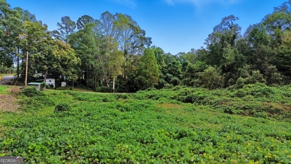 657 South Broad Street Toccoa, GA 30577 - Photo 5 of 8 a view of a green field with lots of bushes