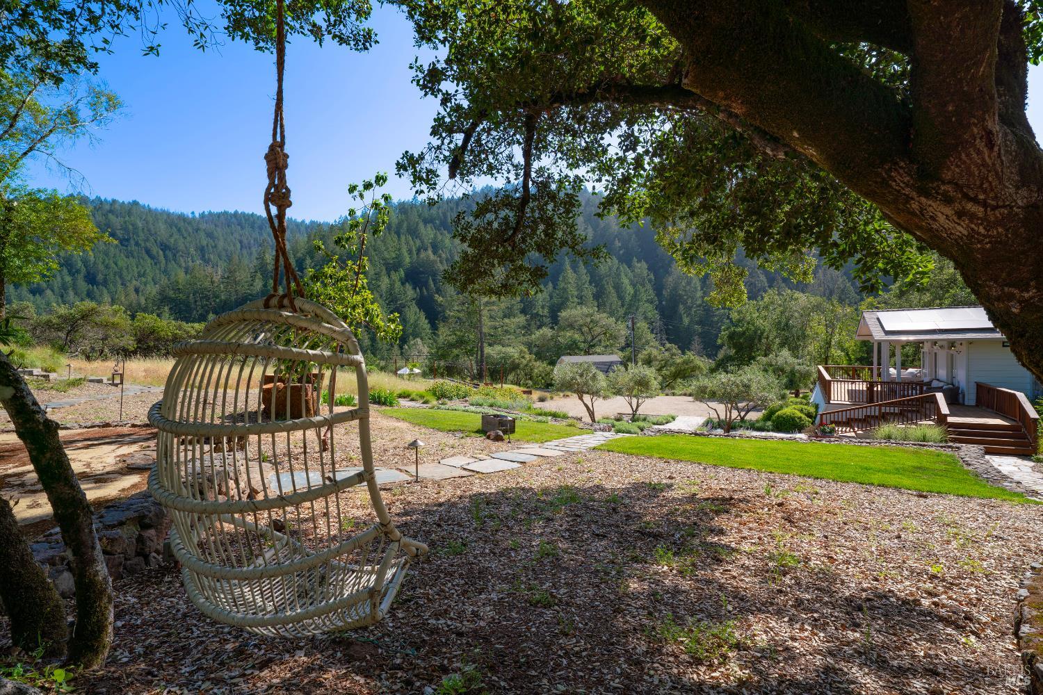 5270 Dry Creek Road Napa, CA 94558 - Photo 42 of 56 a view of a park with large trees