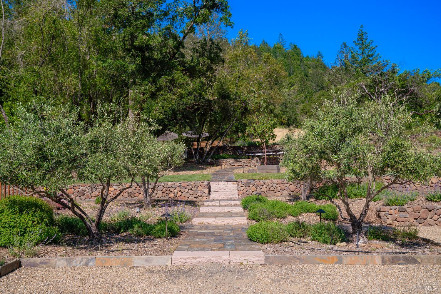 5270 Dry Creek Road Napa, CA 94558 - Photo 46 of 56 a view of park with plants and trees