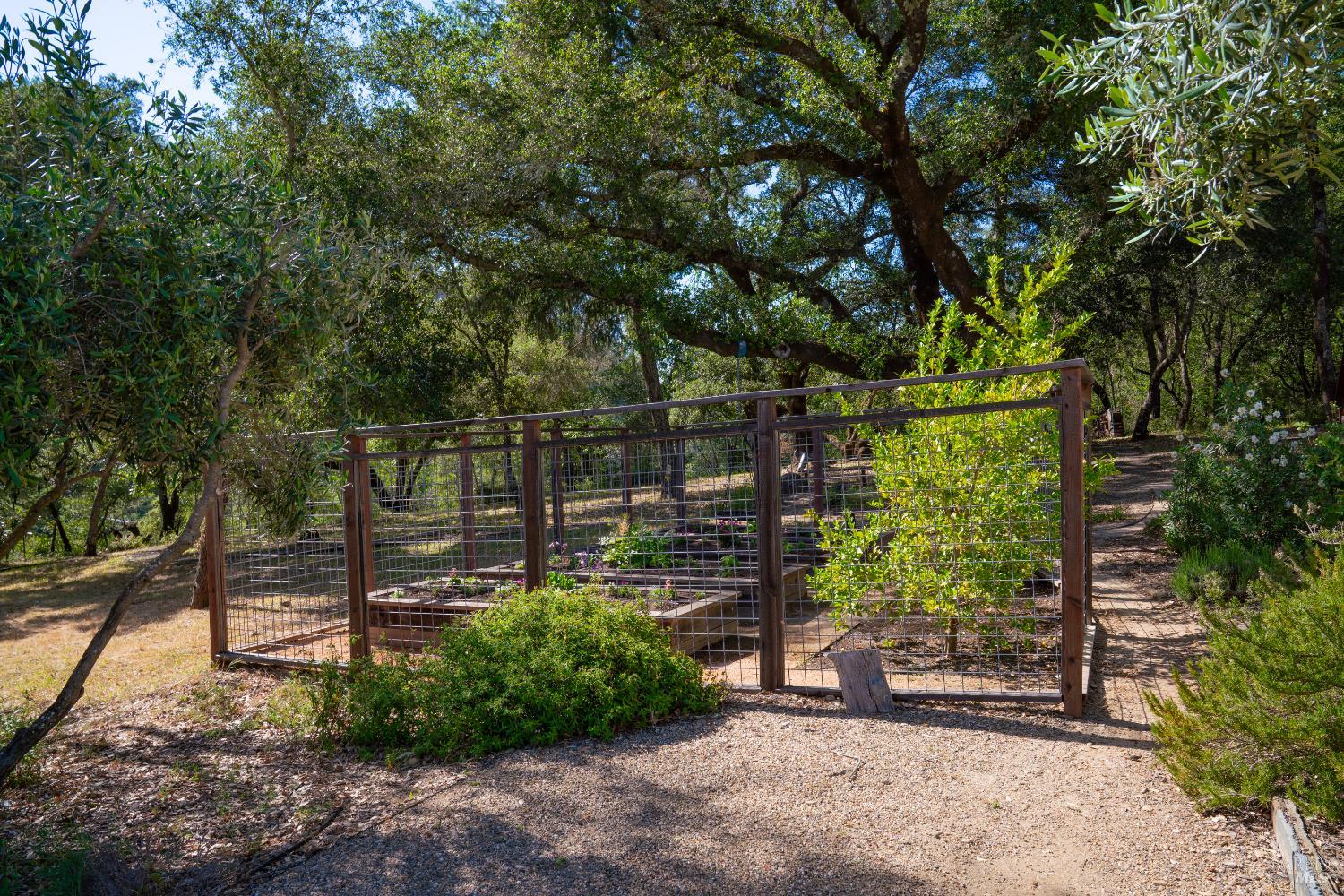 5270 Dry Creek Road Napa, CA 94558 - Photo 47 of 56 a view of a bench in a backyard