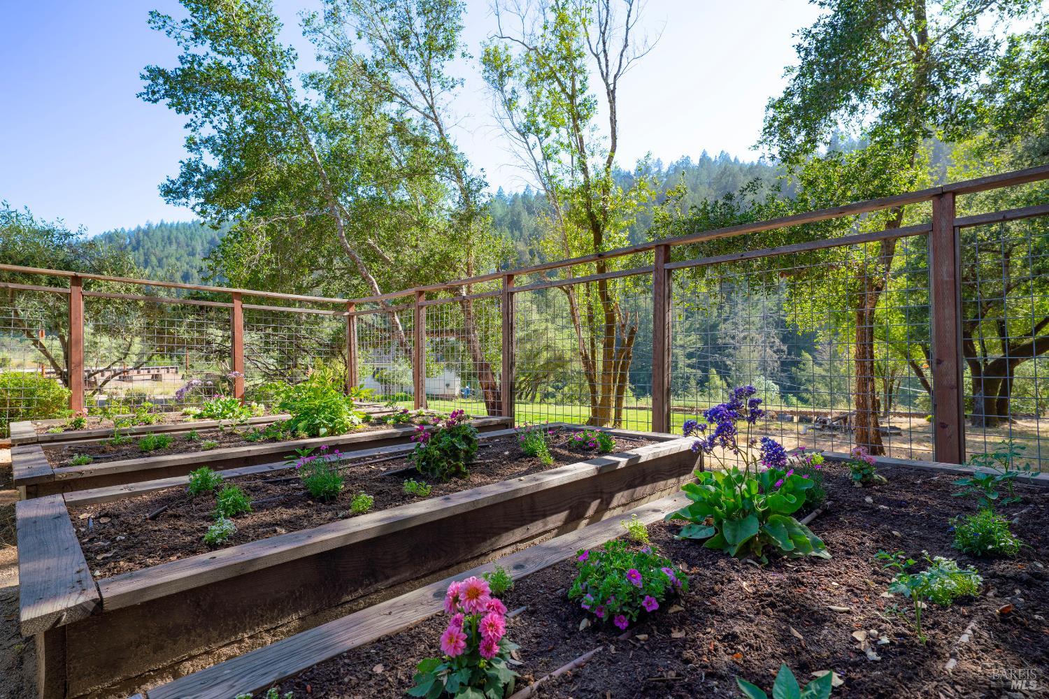 5270 Dry Creek Road Napa, CA 94558 - Photo 48 of 56 a garden view with a sitting space