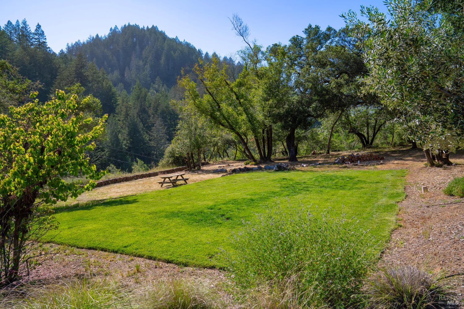 5270 Dry Creek Road Napa, CA 94558 - Photo 49 of 56 a view of a park with large trees
