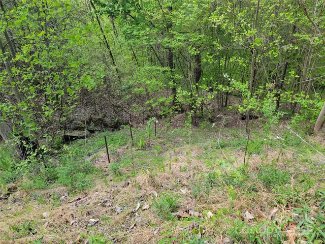 $6,550 | 0 Cian Drive, Union Mills, NC 28167