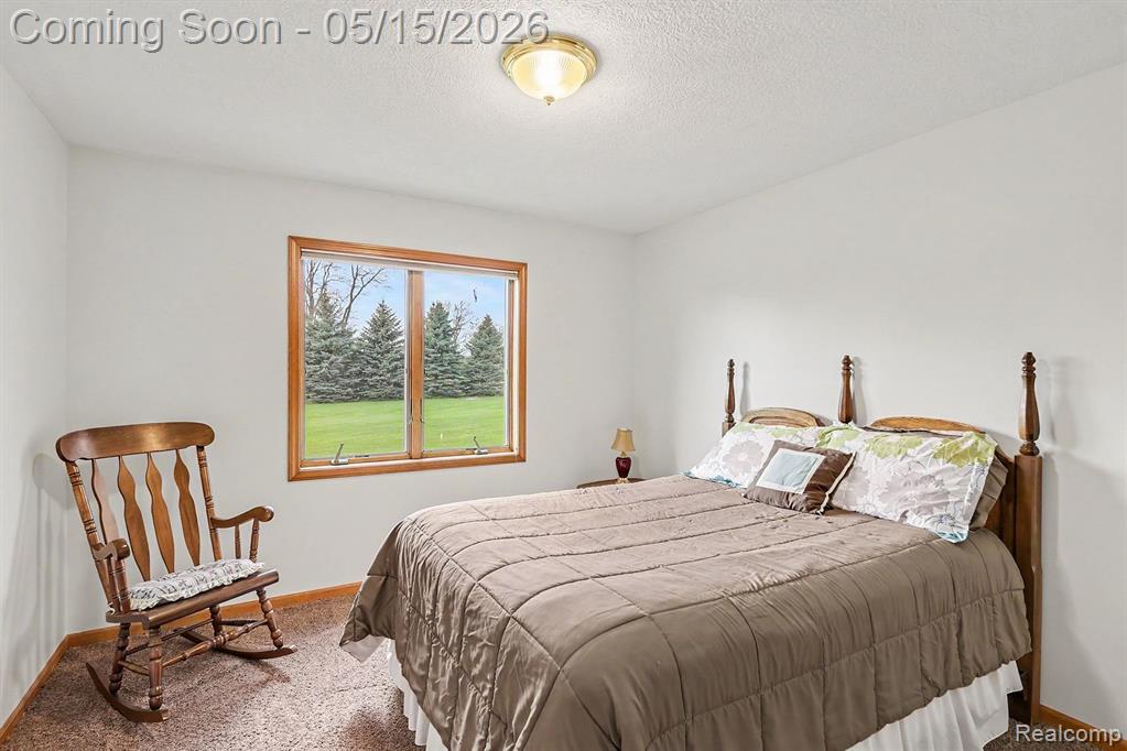 7700 North Dewitt Road St. Johns, MI 48879 - Photo 13 of 34