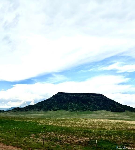 11977 Haskell Creek Road Larkspur, CO 80118 - Photo 25 of 29