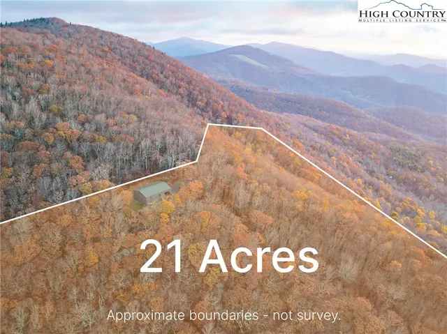 a backyard of a house with large trees