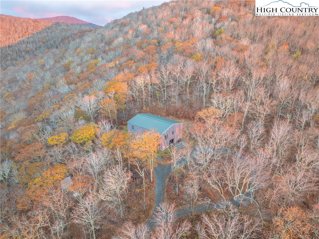 1390 Ransey Woodring Road Todd, NC 28684 - Photo 45 of 48 a view of a forest with a tree