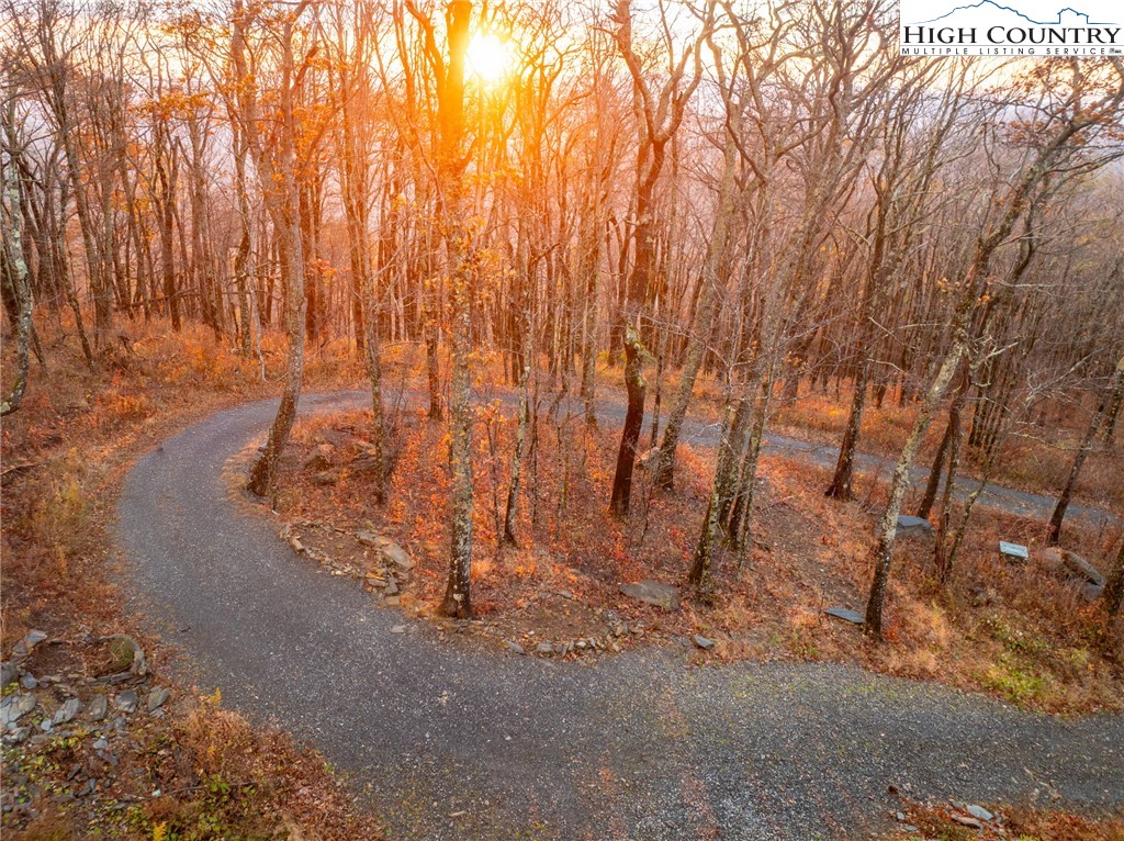 1390 Ransey Woodring Road Todd, NC 28684 - Photo 46 of 48 a view of backyard with large tree