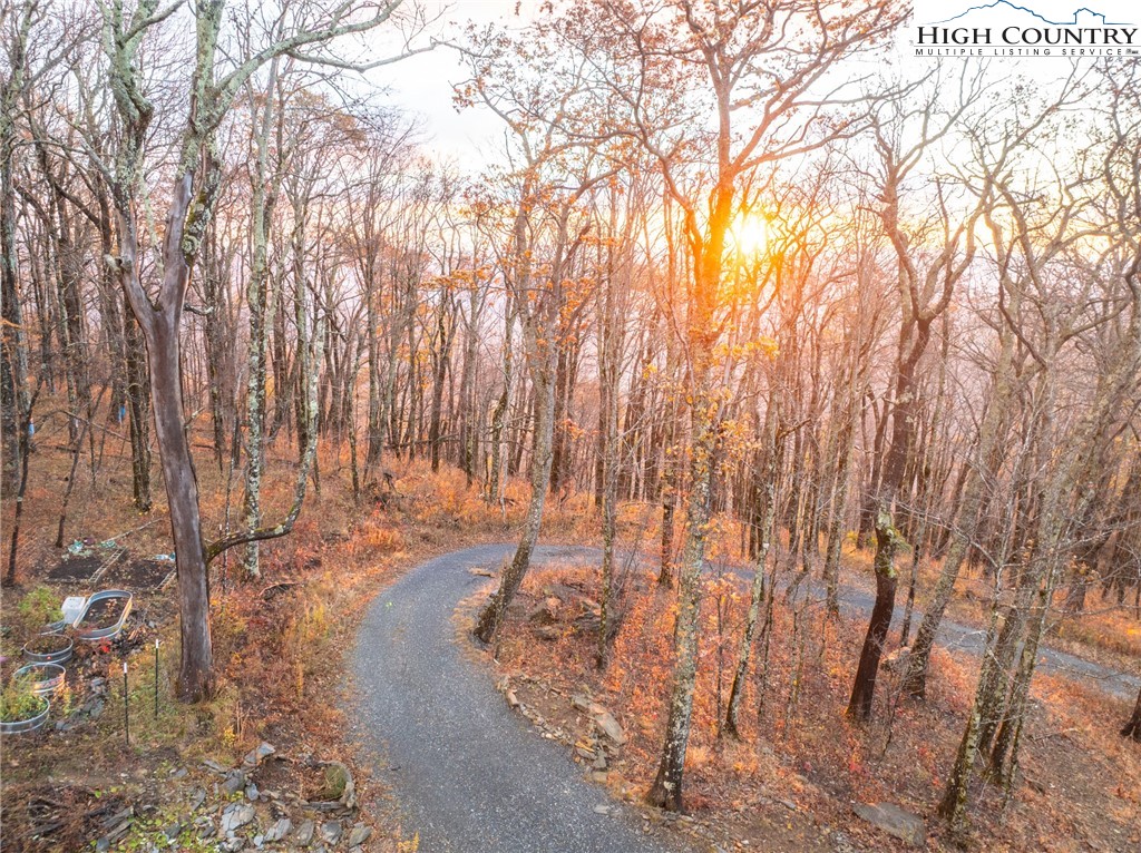 1390 Ransey Woodring Road Todd, NC 28684 - Photo 6 of 48