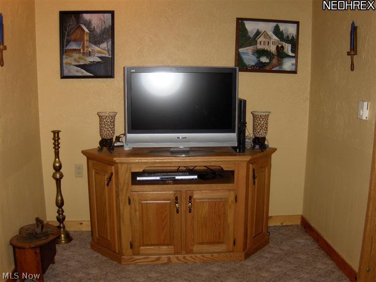 2040 Scroll Road Southwest Carrollton, OH 44615 - Photo 9 of 25 FAMILY/MEDIA ROOM IN LOWER LEVEL