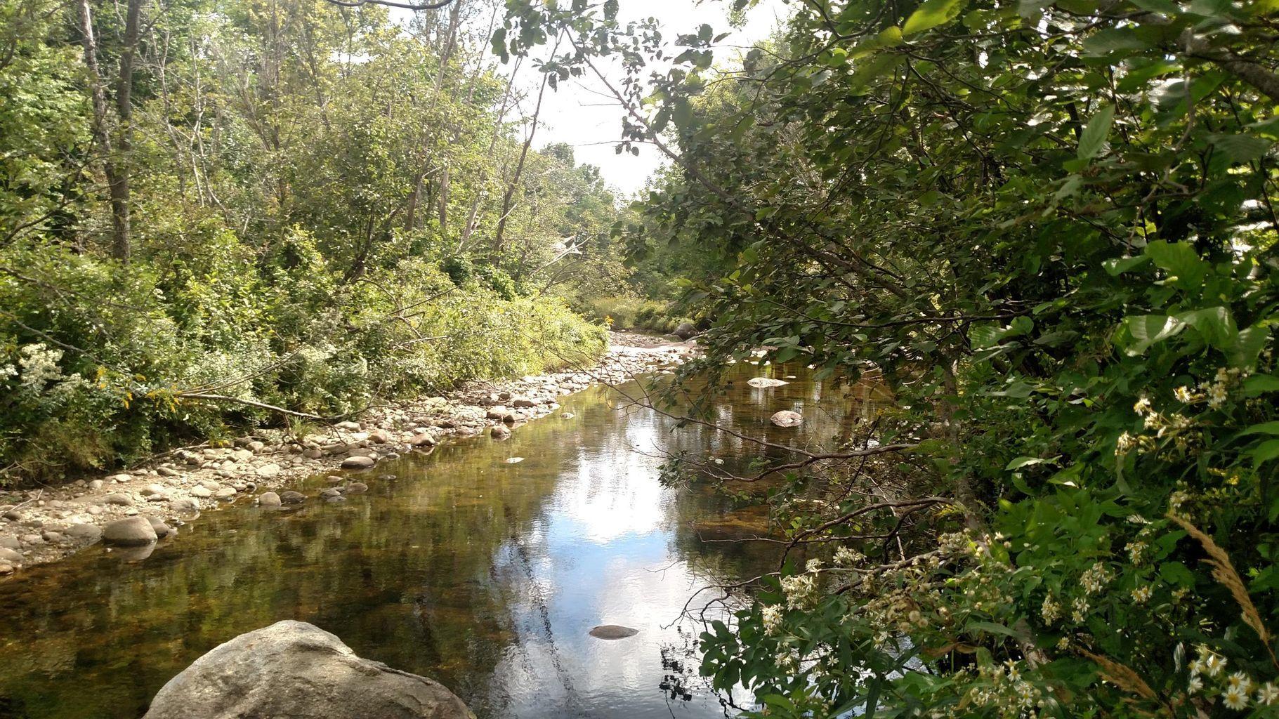 Lot 1 Runahan Road Andover, ME 04216 - Photo 1 of 15 Sawyer Brook 4