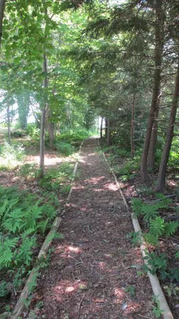 $845,000 | 11 Treat Street, Belfast, ME 04915