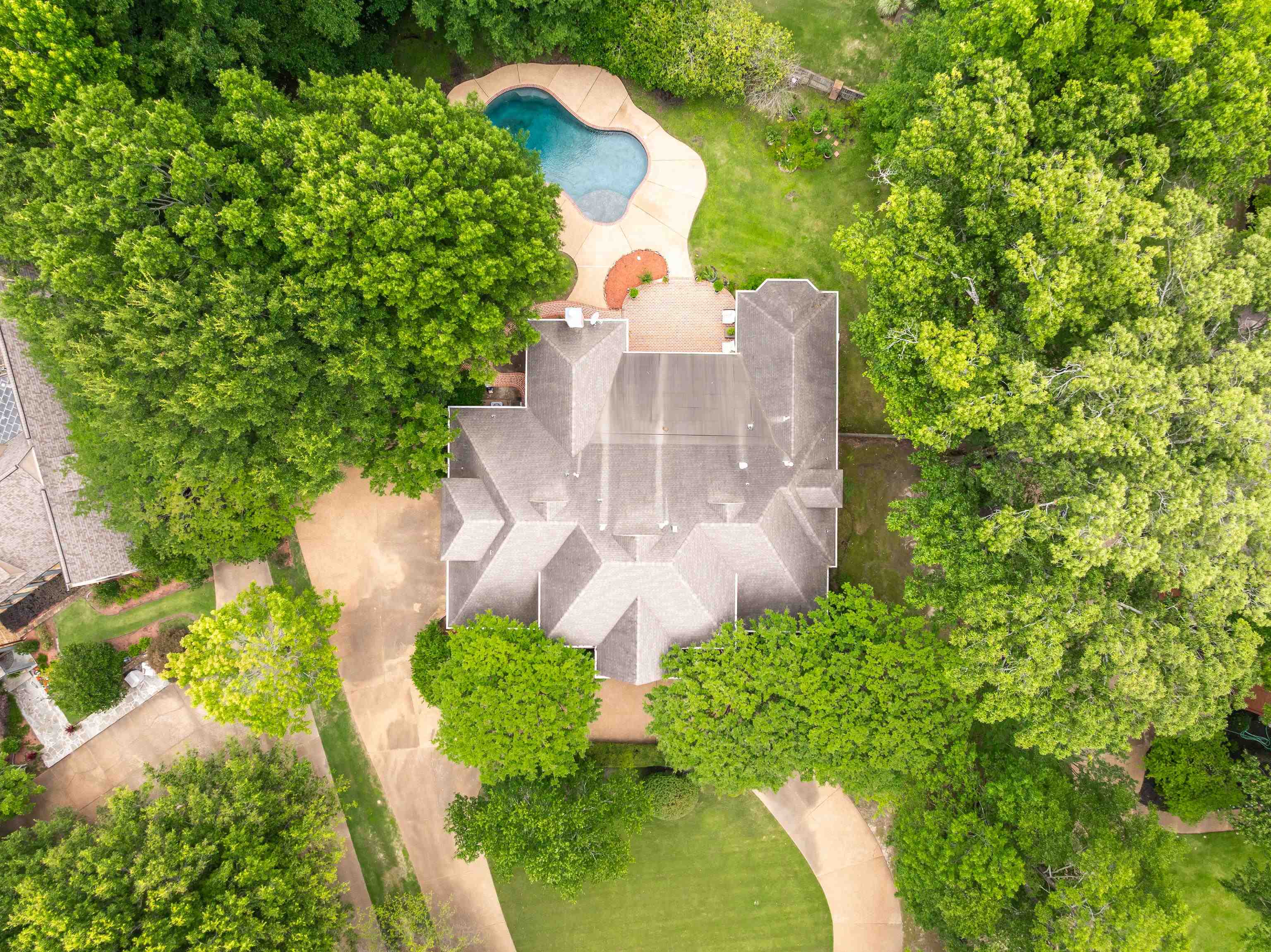 350 Bluff Ridge Cove Memphis, TN 38018 - Photo 37 of 37 Expansive property featuring a multi-gabled roofline, a freeform swimming pool with surrounding patio, mature trees providing extensive canopy, and a sweeping driveway
