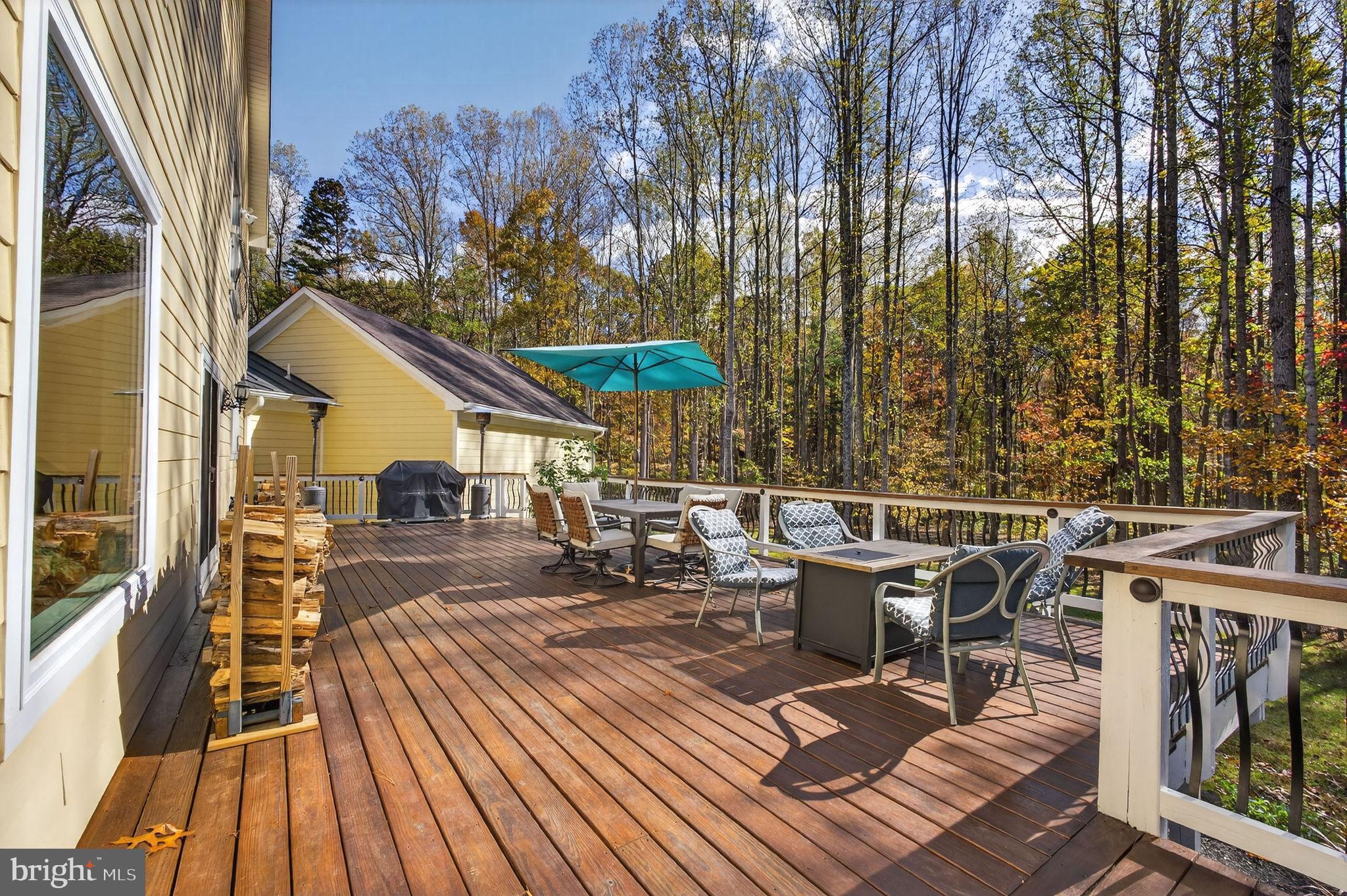 700 Battle Mountain Road Amissville, VA 20106 - Photo 19 of 67 Ample space for barbequing & entertaining.