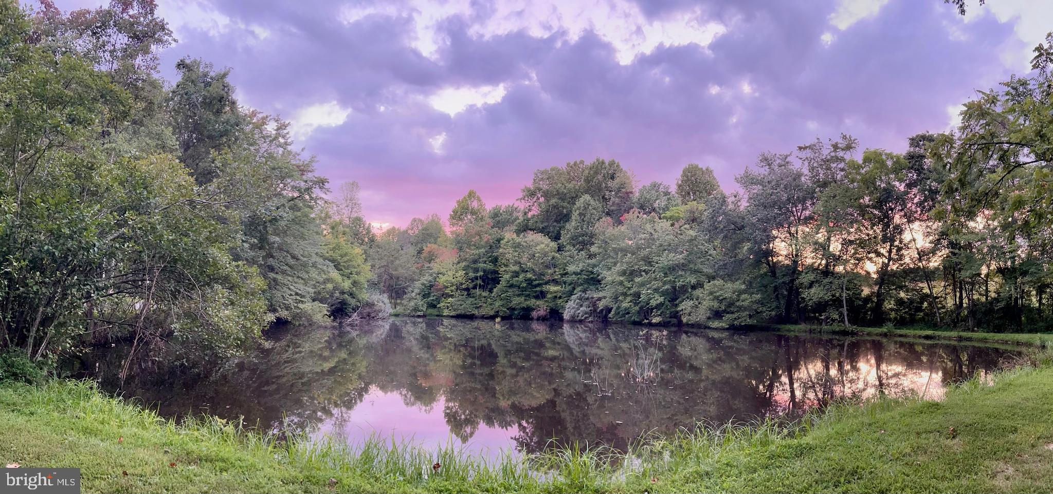 700 Battle Mountain Road Amissville, VA 20106 - Photo 2 of 64 Beautiful private spring fed pond