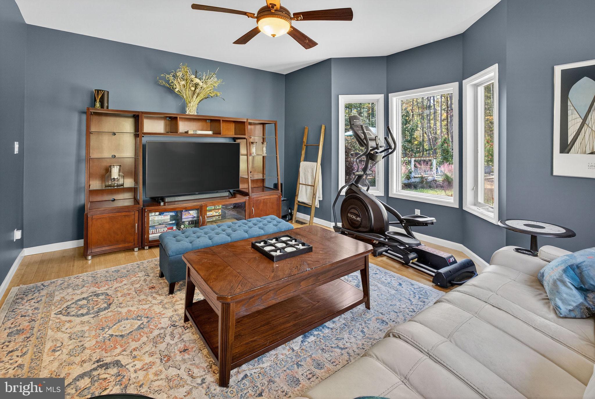 700 Battle Mountain Road Amissville, VA 20106 - Photo 25 of 64 a living room with furniture and a flat screen tv