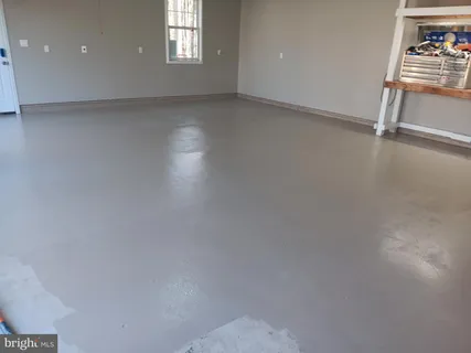 a view of a forest with a lake