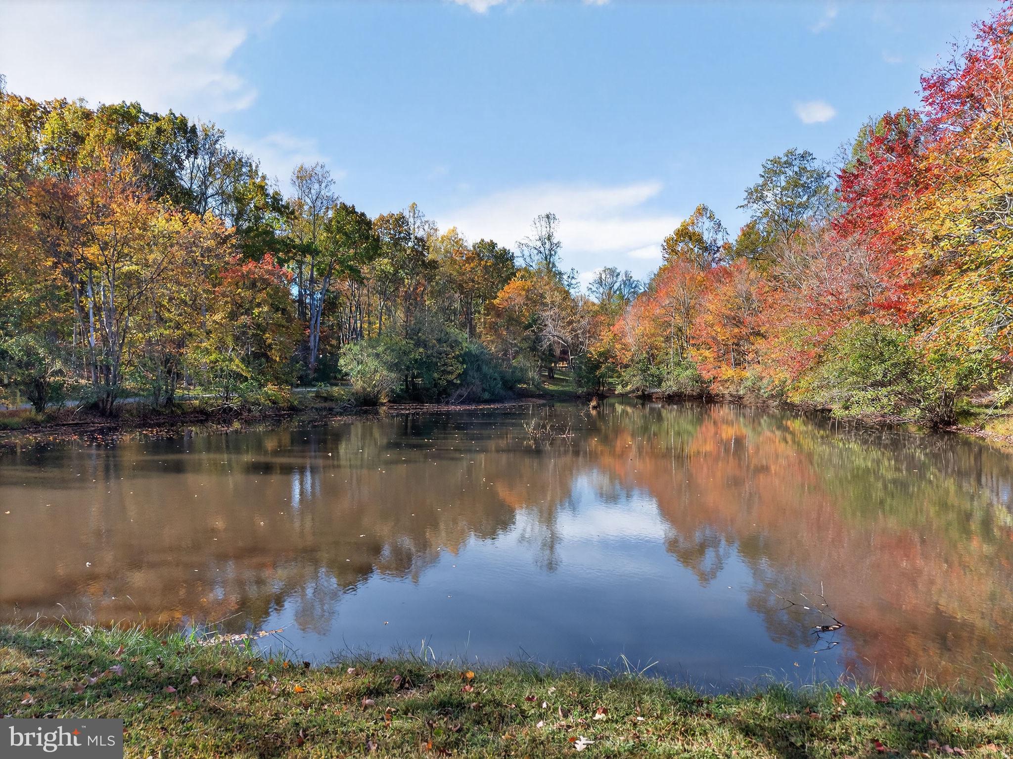 700 Battle Mountain Road Amissville, VA 20106 - Photo 59 of 64 a body of water with a tree in the background
