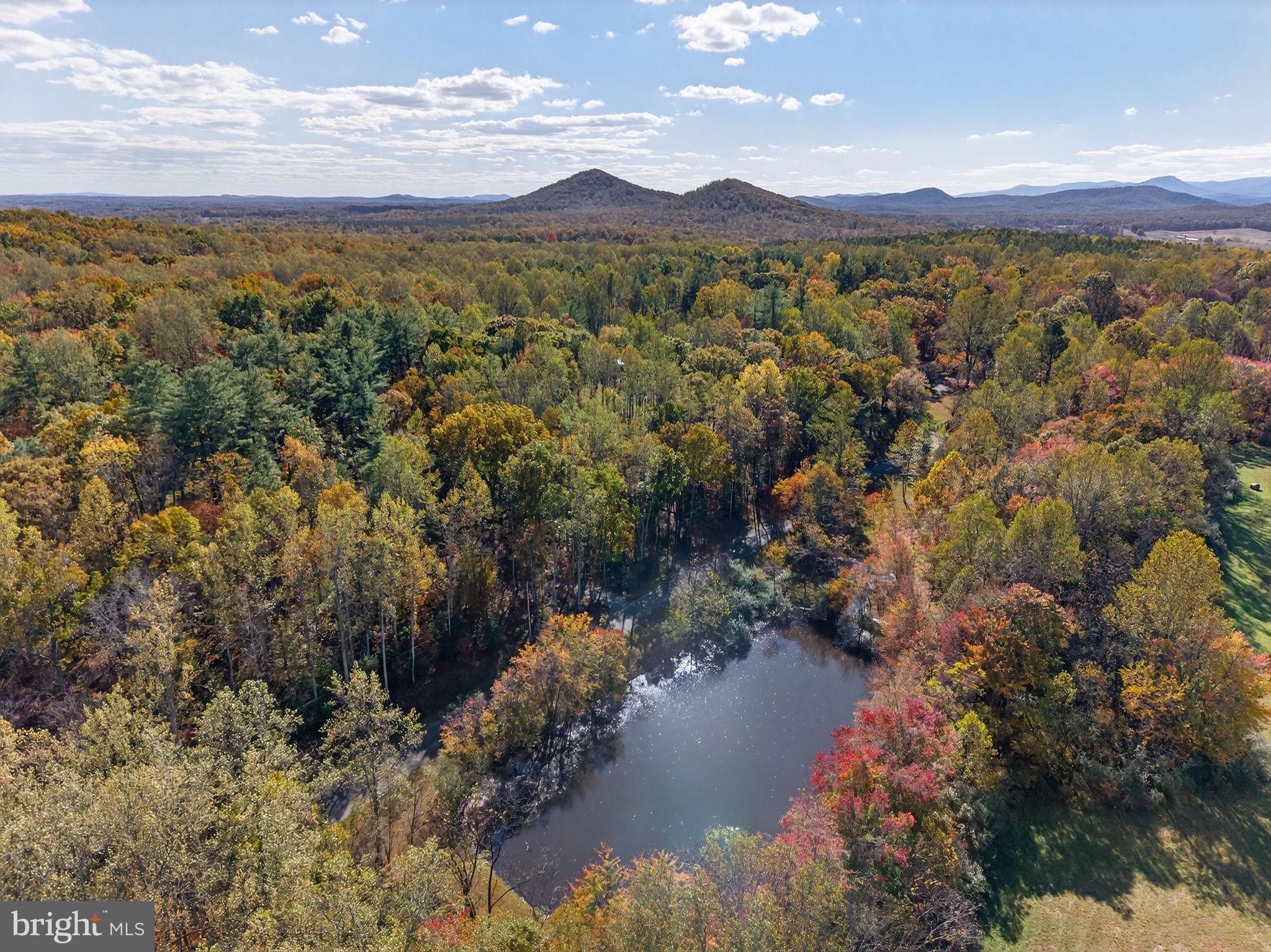 700 Battle Mountain Road Amissville, VA 20106 - Photo 60 of 67 Autumn aerial of Lac Clair & Mountain range