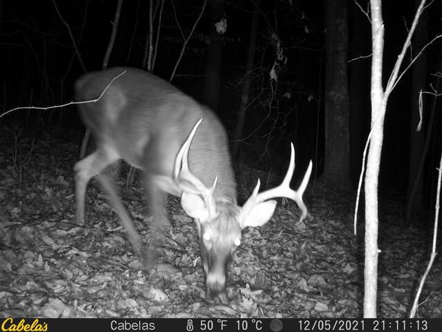 0 East Fork Road Laurelville, OH 43135 - Photo 7 of 16 12050146