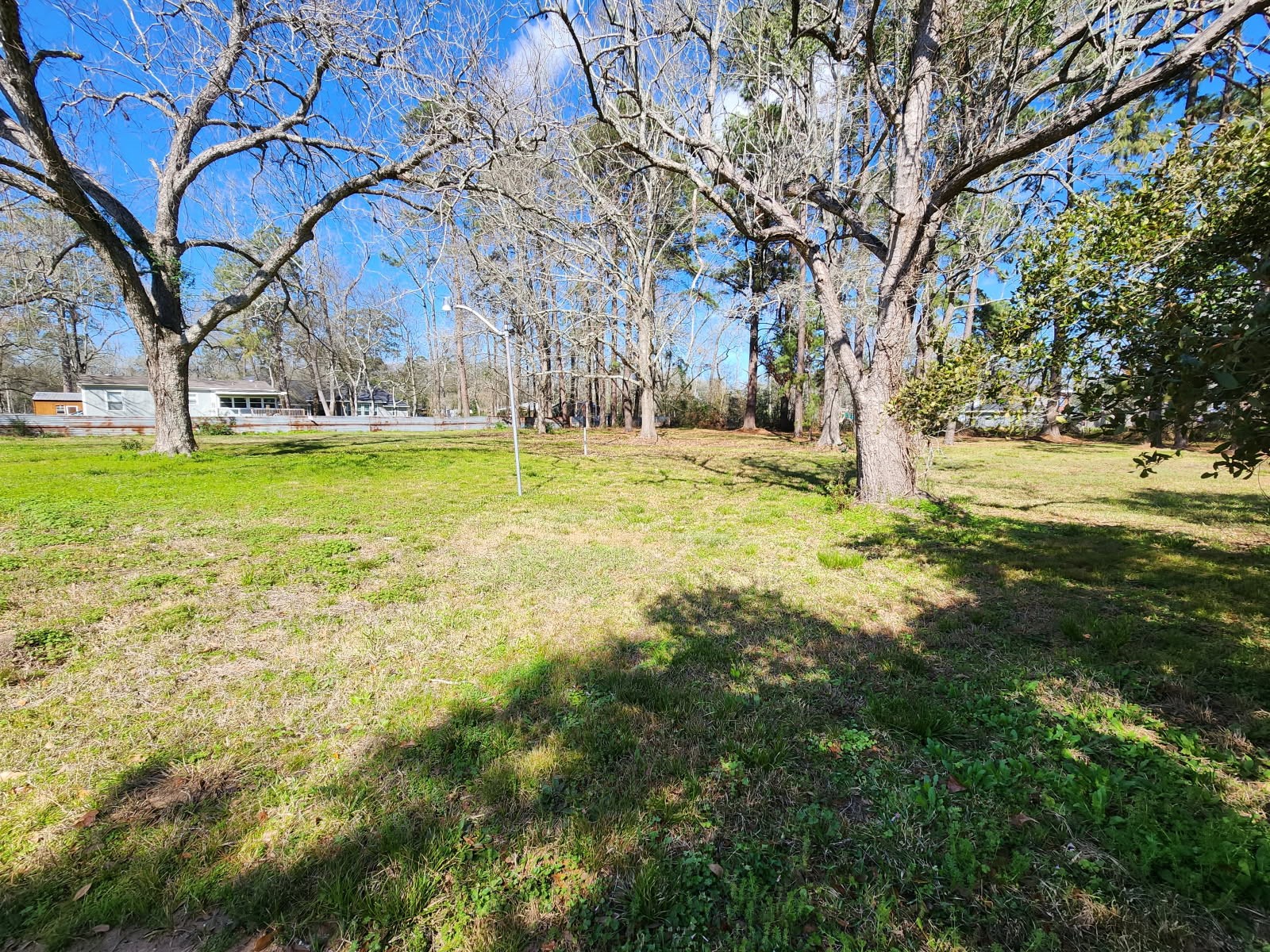 25609 Fm 2100 Road Huffman, TX 77336 - Photo 3 of 6