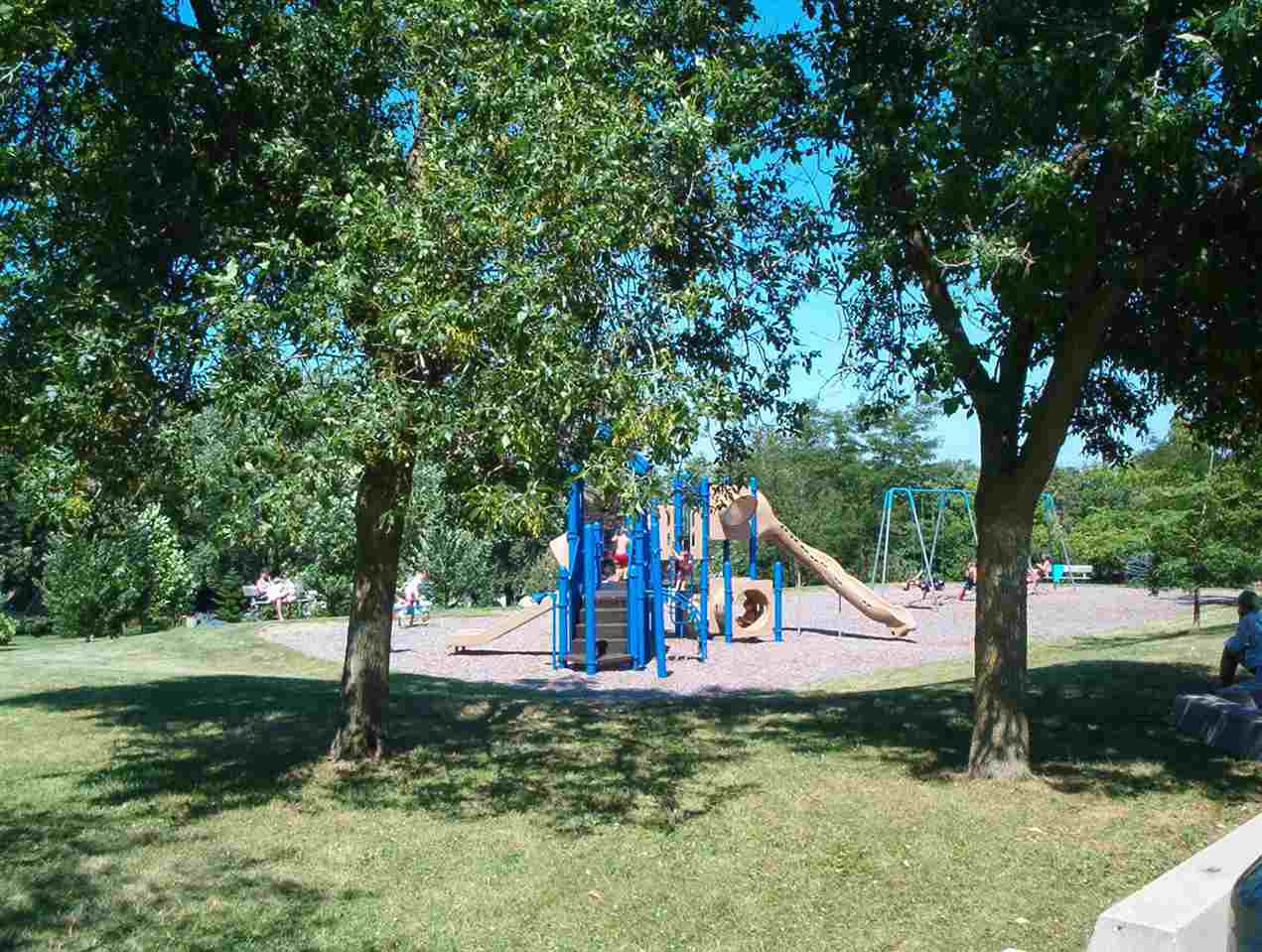 1748 Lake Summerset Road Lake Summerset, IL 61019 - Photo 18 of 18 a view of a park with large trees