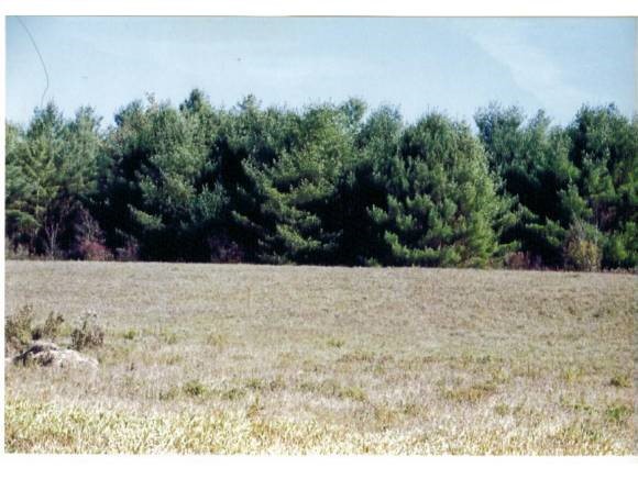 19 Rte 30 Pawlet, VT 05775 - Photo 1 of 1 Gallery Image 1